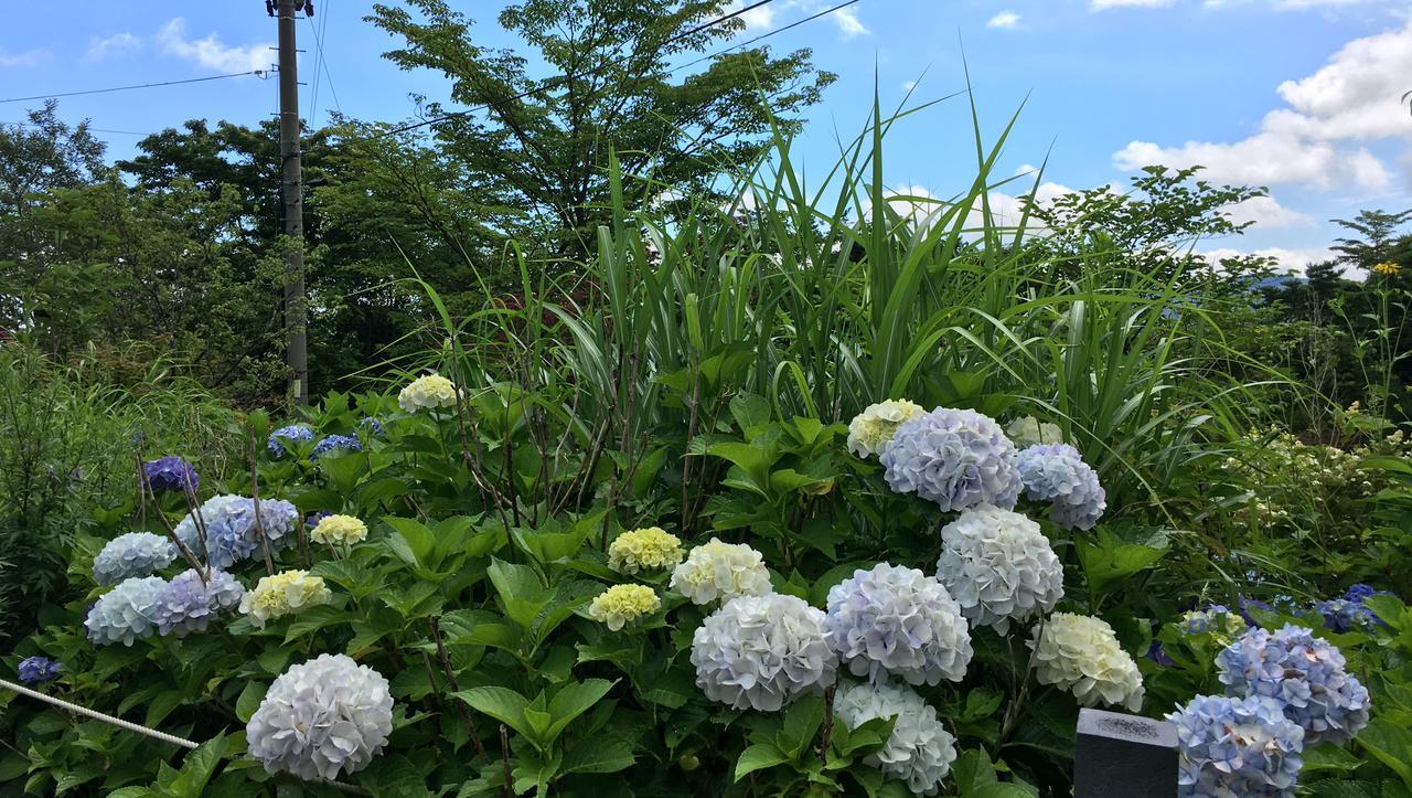 Zao Shikitei Hotel Shiroishi  Esterno foto